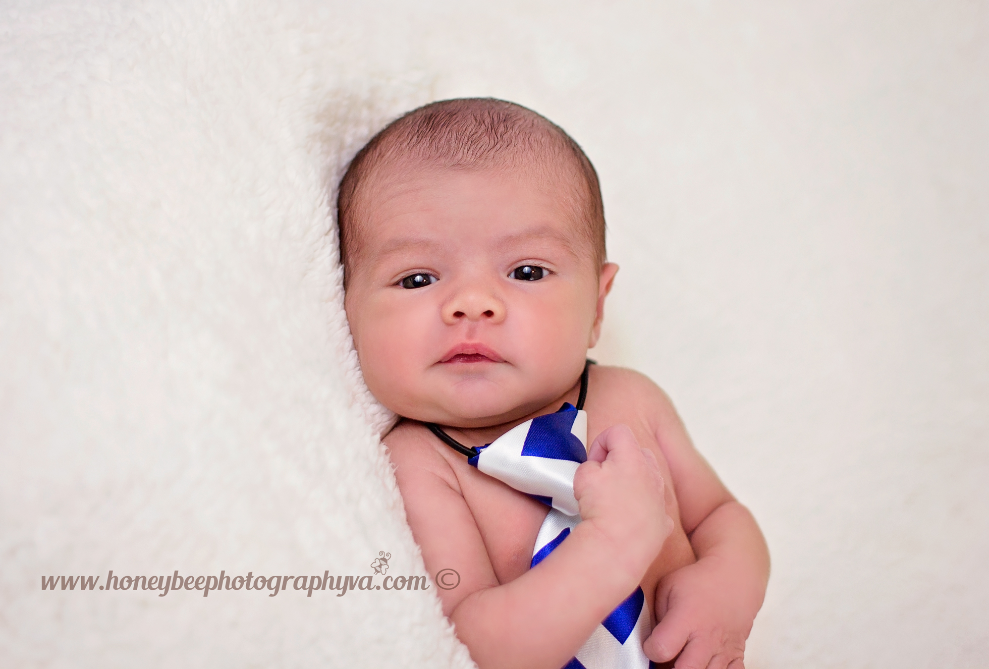 newborn photographer